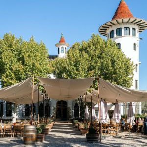 Discovery Tour & La Torre Menu Experience