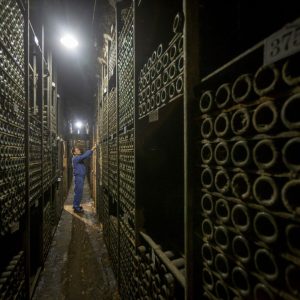 Elciego Winery Tour & Guided Tasting Experience