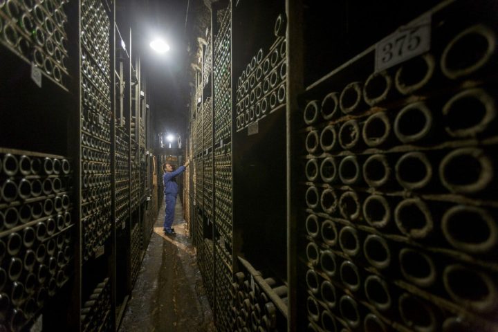 Elciego Winery Tour & Guided Tasting Experience