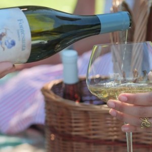 Tuscan Picnic Experience