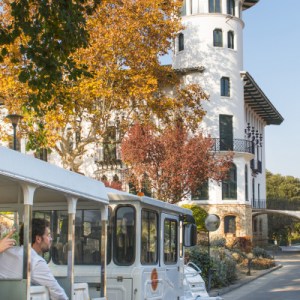 Visit Tasting & Menu Experience