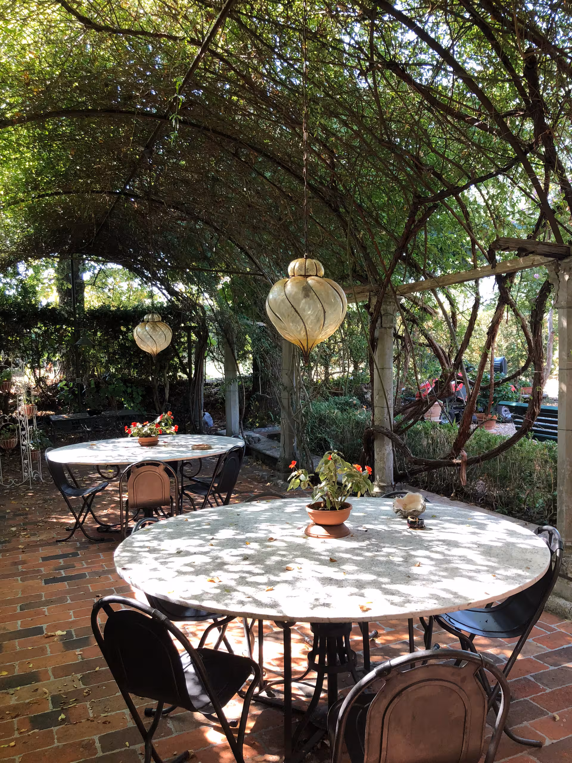 Tuscany Olive oil tour