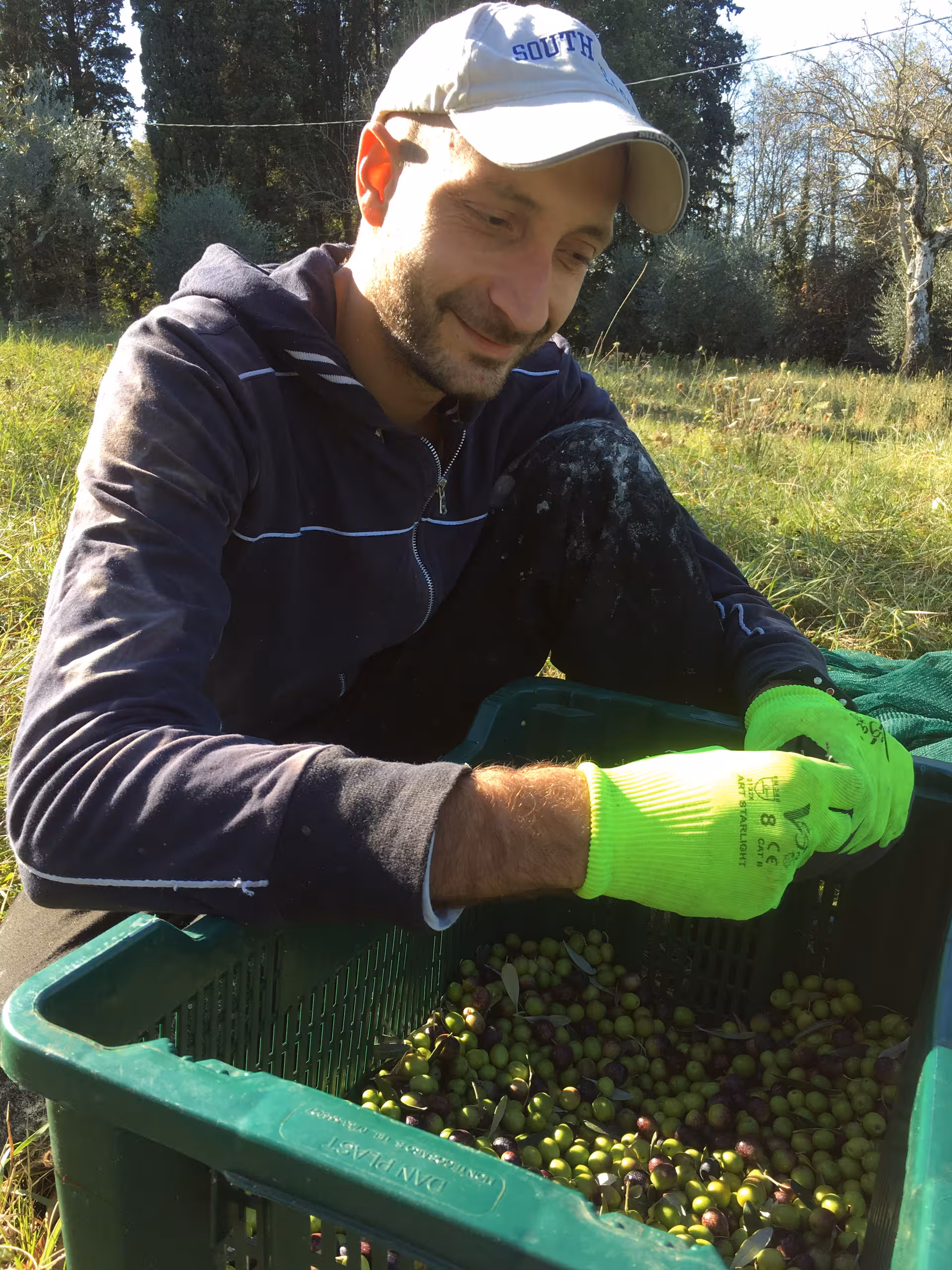 Tuscany Olive oil tour