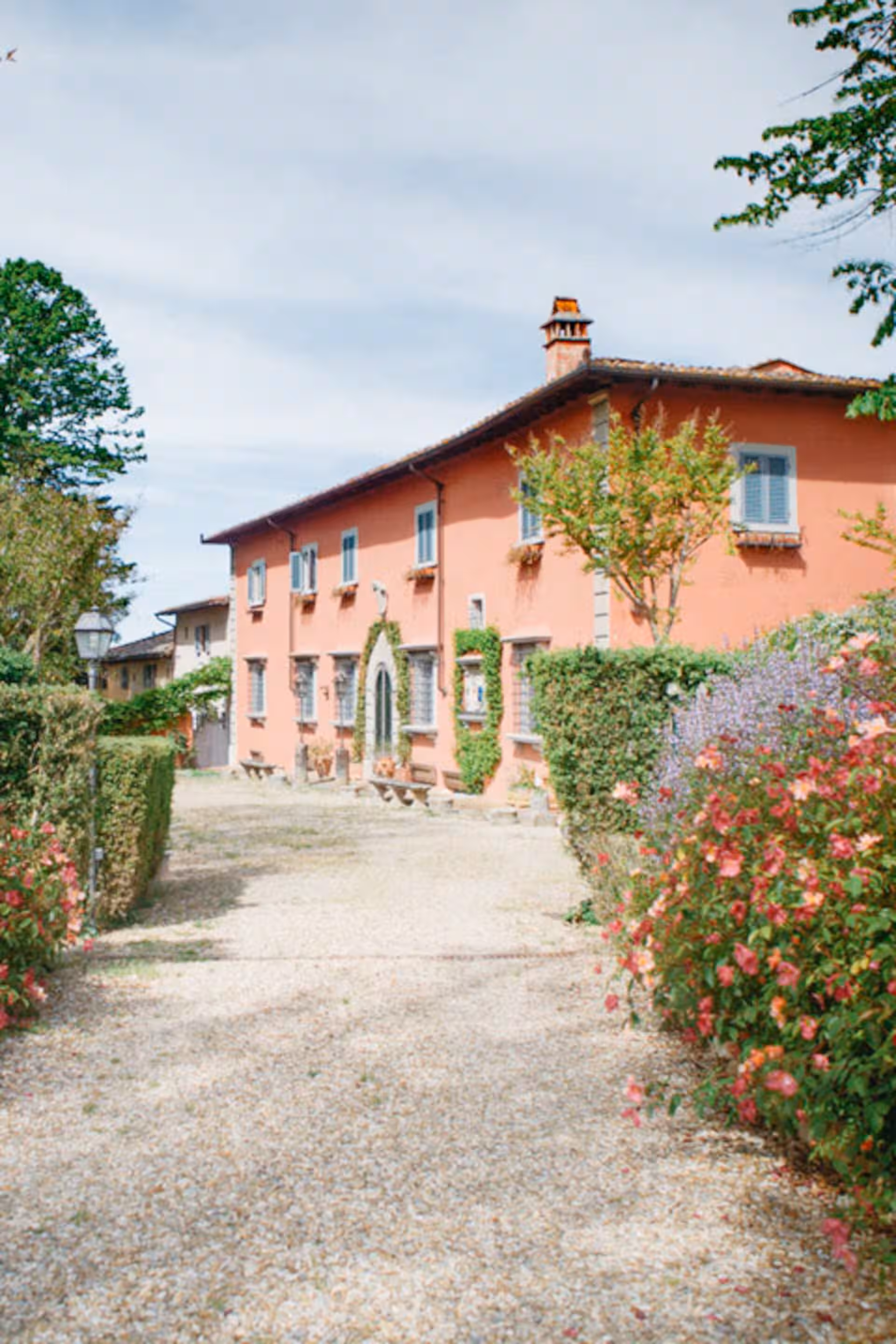 Tuscany Olive oil tour