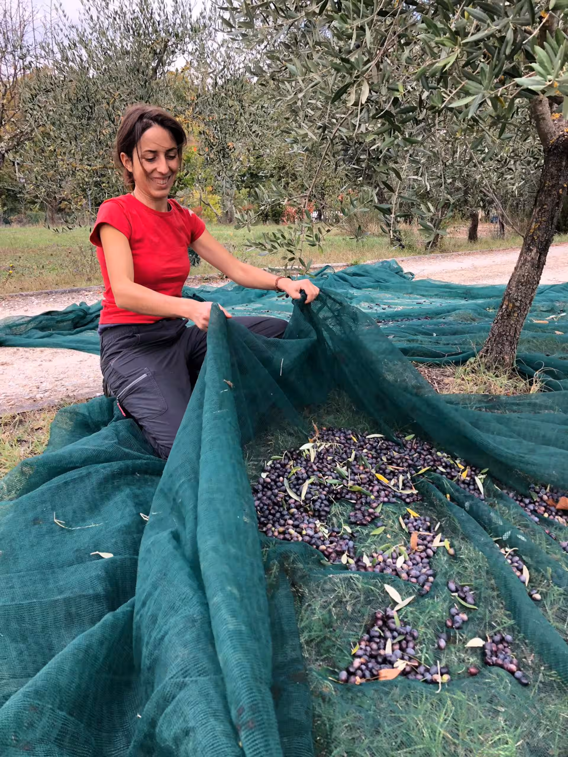Tuscany Olive oil tour
