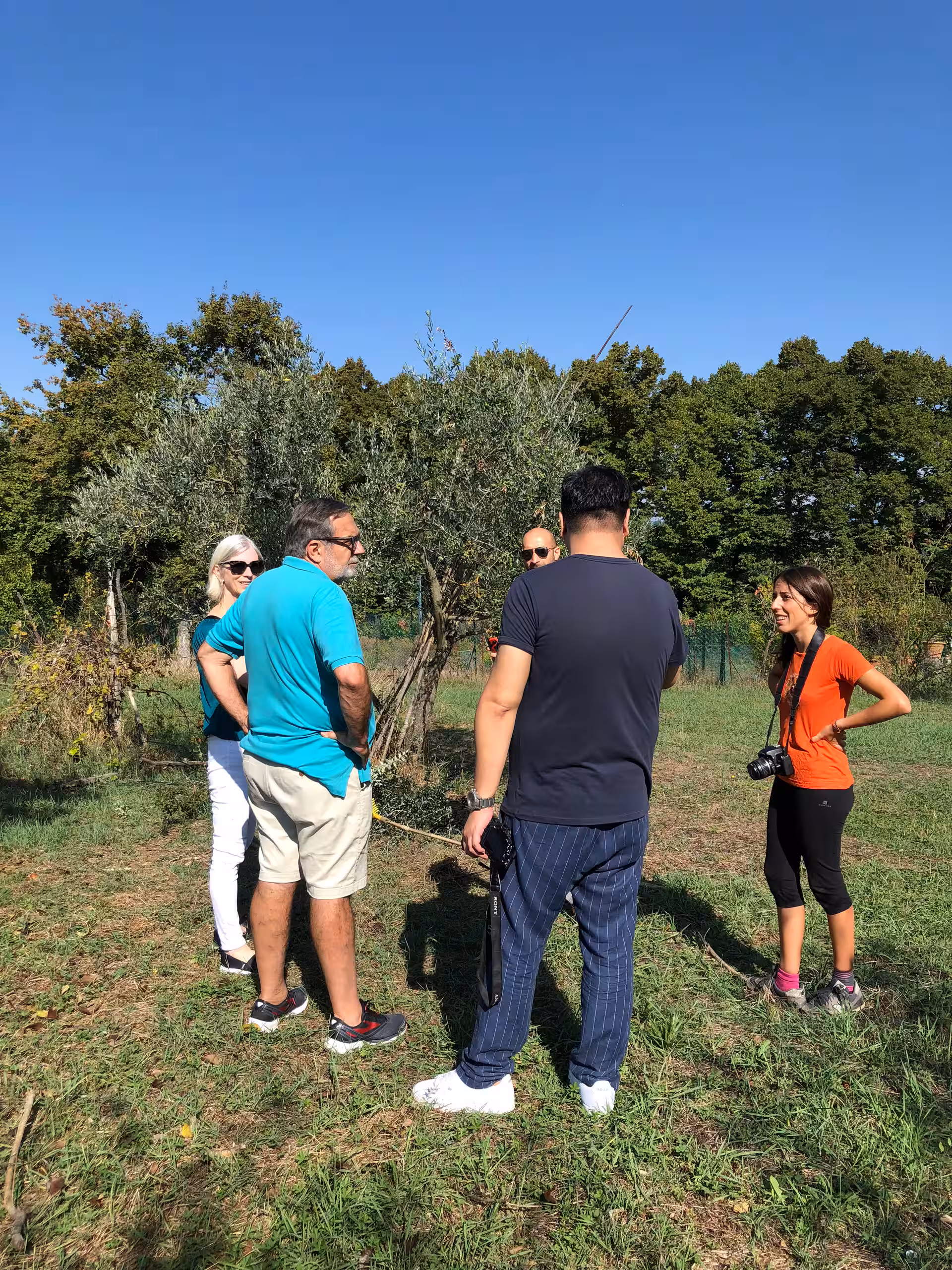 Tuscany Olive oil tour