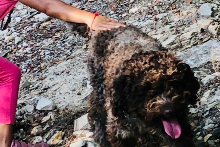 tuscany Truffle Experience