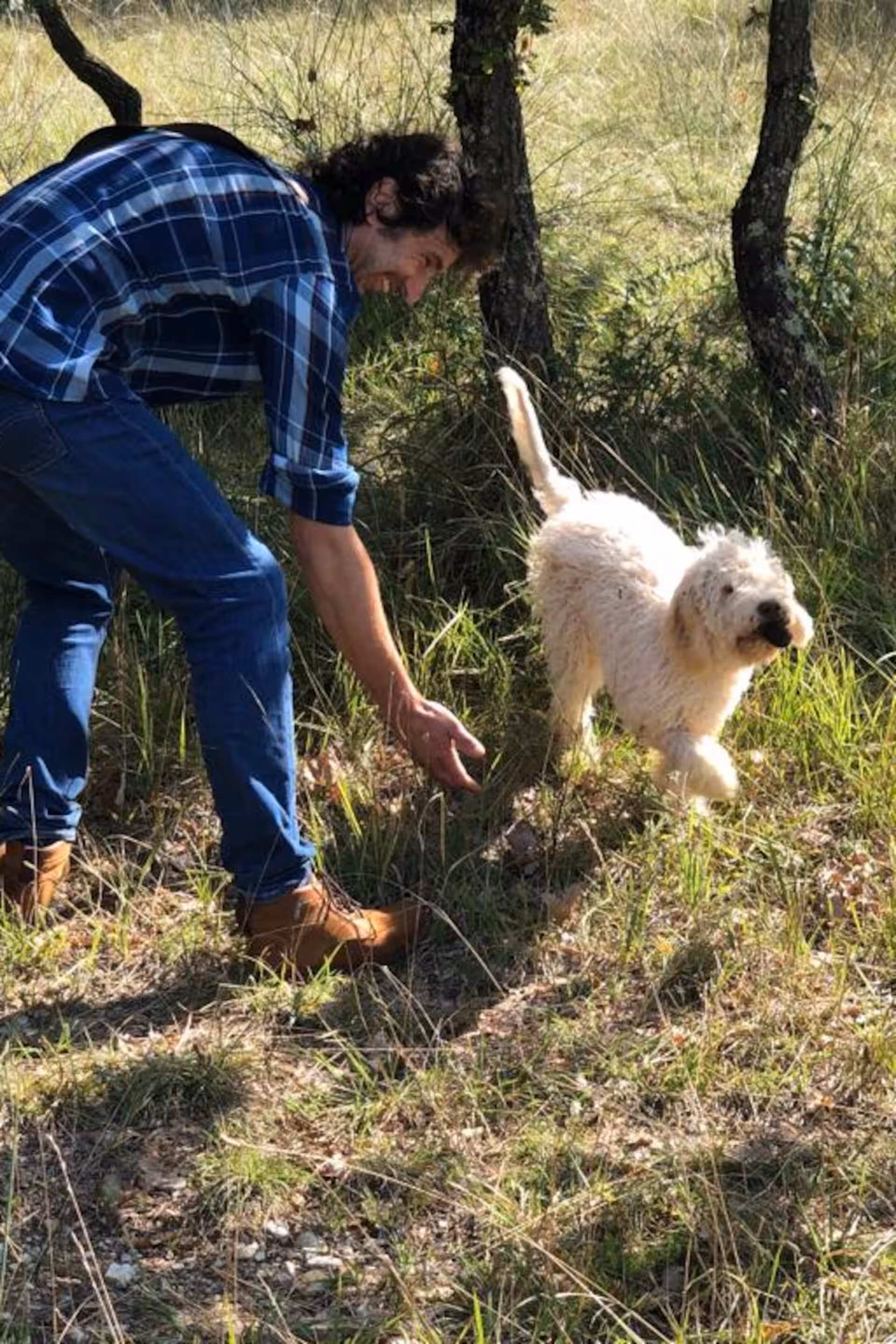 tuscany Truffle Experience