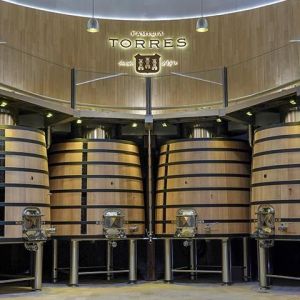 Visit with Wine & Cheese Pairing