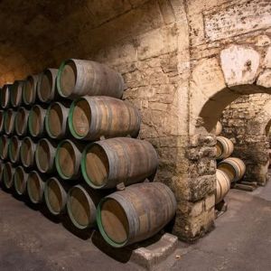 Elciego Winery Tour & Guided Tasting Experience