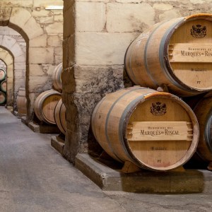 Elciego Winery Tour & Guided Tasting Experience