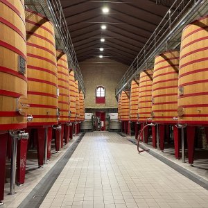 Elciego Winery Tour & Guided Tasting Experience