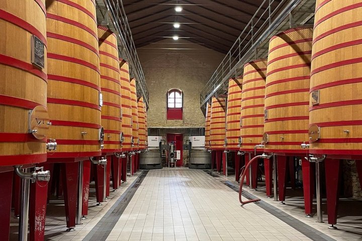 Elciego Winery Tour & Guided Tasting Experience