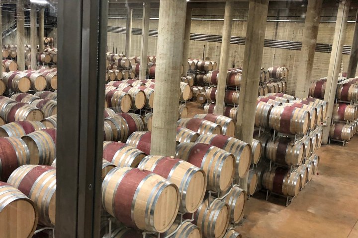 Chianti Premium Wine Masterclass Experience