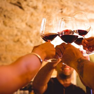 Chianti Classico Guided Wine Tasting Experience