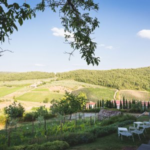 Chianti Classico Guided Wine Tasting Experience