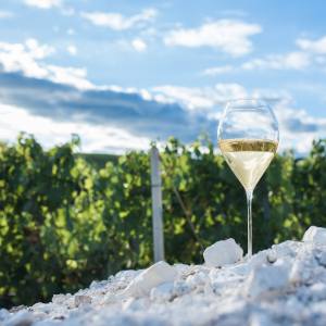 Champagne Introduction Experience