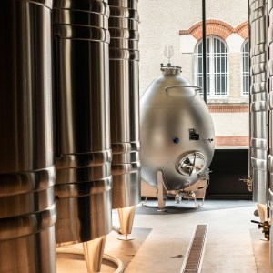 Champagne Introduction Experience