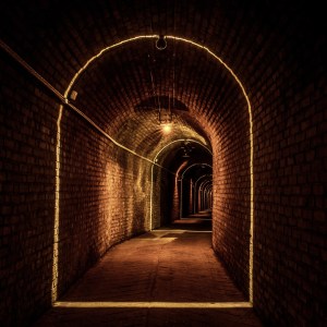 Champagne Introduction Experience