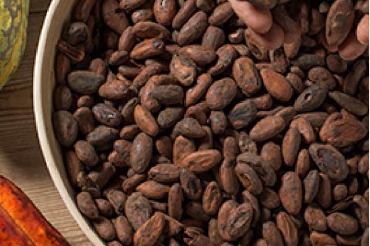 Cava & Cocoa Bean Experience