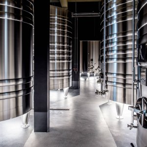 Champagne Introduction Experience