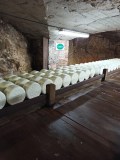 Roquefort Cheese Cellars & Tasting Experience