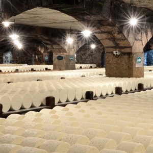 Roquefort Cheese Cellars & Tasting Experience