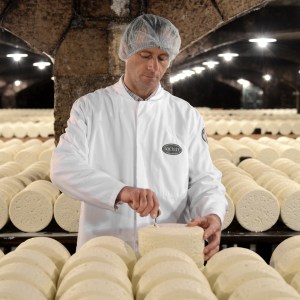 Roquefort Cheese Cellars & Tasting Experience