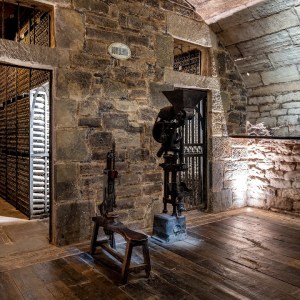 Elciego Winery Tour & Guided Tasting Experience