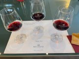 Chianti Gran Cru Tour Experience