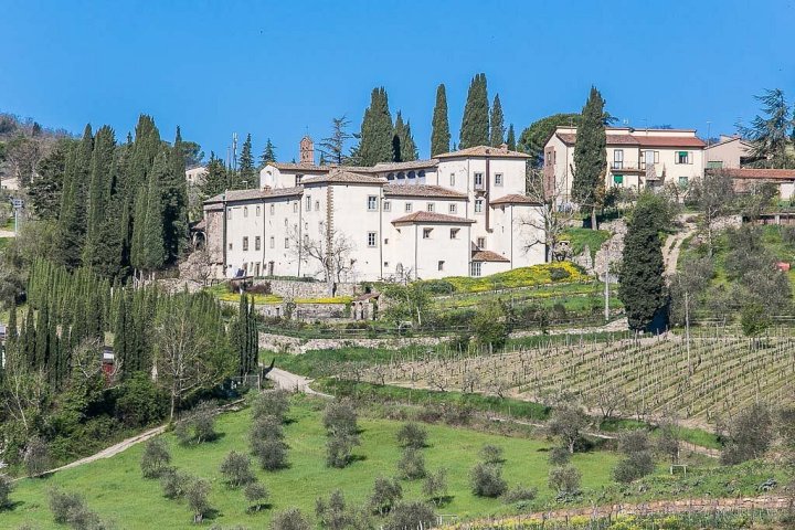 Chianti Classico Guided Wine Tasting Experience