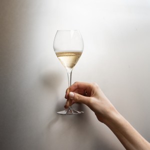 Champagne Introduction Experience