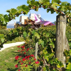 Elciego Winery Tour & Guided Tasting Experience