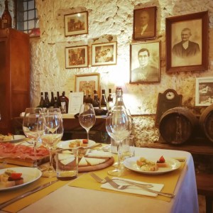 Pasta Masterclass & Wine Tour in the Vineyard Experience