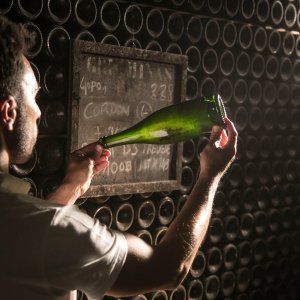 Sparkling Wines Visit & Paring Experience