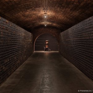 Sparkling Wines Visit & Paring Experience
