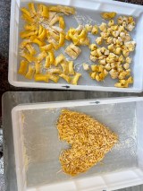 Florence Fresh Pasta Class Experience