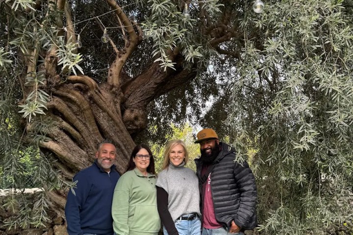 Sicilian Olive Oil Experience