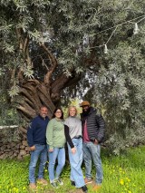 Sicilian Olive Oil Experience