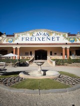 Sparkling Wines Visit & Paring Experience