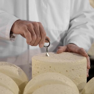 Roquefort Cheese Cellars & Tasting Experience