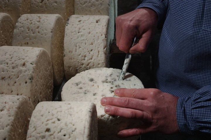 Roquefort Cheese Cellars & Tasting Experience