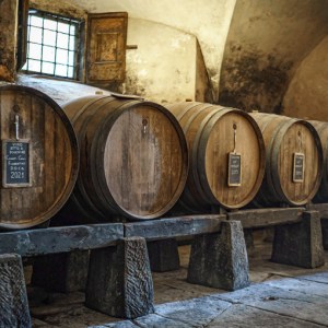 Tuscan Private Art of Wine Tasting Experience