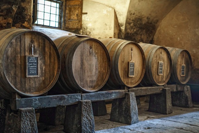 Tuscan Private Art of Wine Tasting Experience