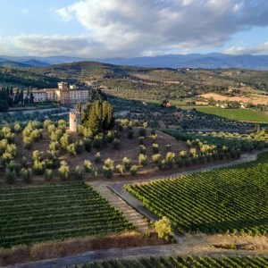 Tuscan Private Art of Wine Tasting Experience