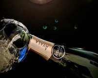 Champagne Introduction Experience