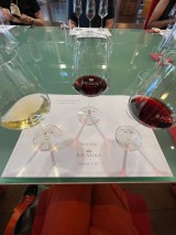 Chianti Premium Wine Masterclass Experience