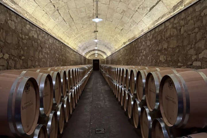 Elciego Winery Tour & Guided Tasting Experience