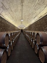 Elciego Winery Tour & Guided Tasting Experience