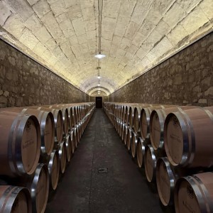 Elciego Winery Tour & Guided Tasting Experience